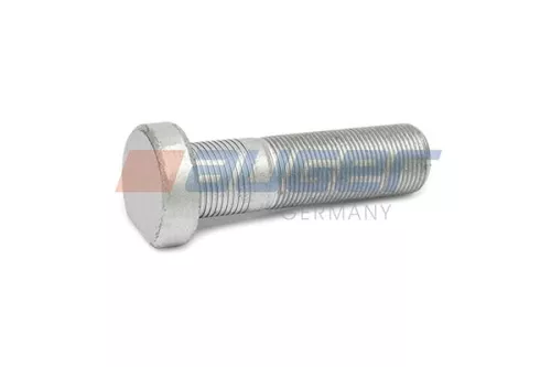 Wielbout AUGER 65554)
