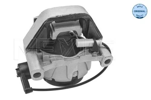 Montage, motor MEYLE 100 199 0317)