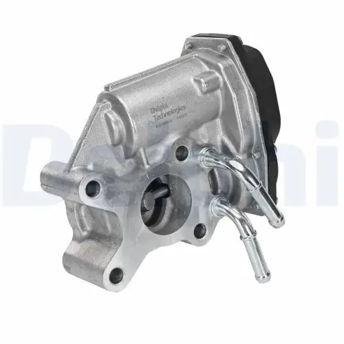 EGR-klep DELPHI EG10654-12B1)
