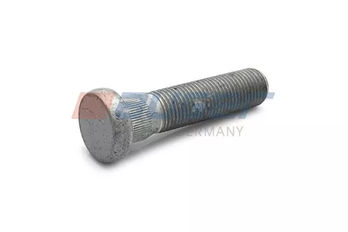 Wielbout AUGER 81140)