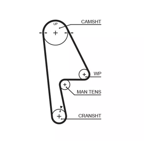 Timing Belt GATES 5529XS)