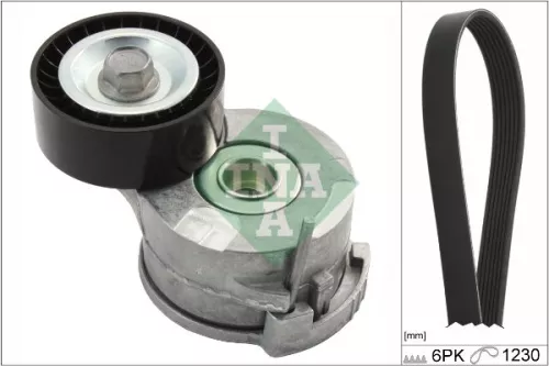 V-ribbed Belt Set Schaeffler INA 529 0292 10)