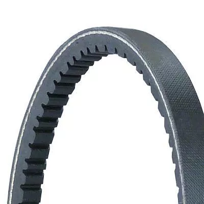 V-Belt CONTINENTAL CTAM 11,2X866Ld)