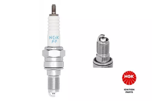 Spark Plug NGK 5666)