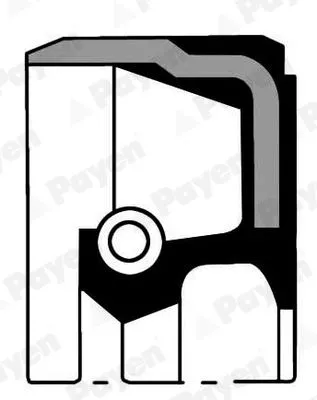 Shaft Seal, crankshaft PAYEN NA5191)