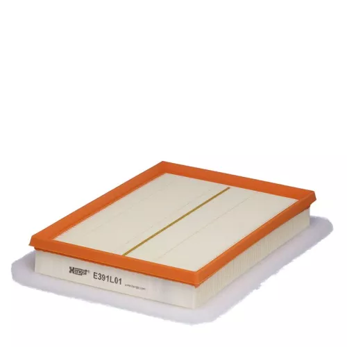 Air Filter HENGST FILTER E391L01)