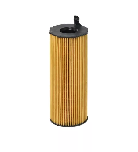 Oliefilter HENGST FILTER E73H D134)