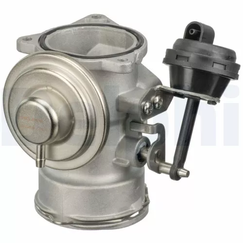 EGR-klep DELPHI EG10409-12B1)