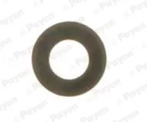 Seal Ring, valve stem PAYEN PA229)