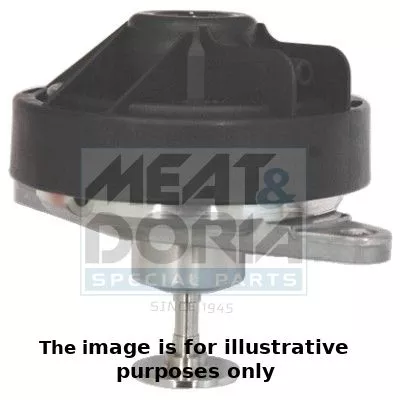 EGR-klep MEAT & DORIA 88065E)