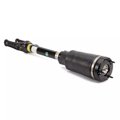 Air Suspension Strut Arnott AS-3005)