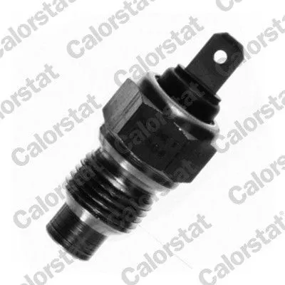 Sensor, koelvloeistoftemperatuur CALORSTAT by Vernet WS2504)