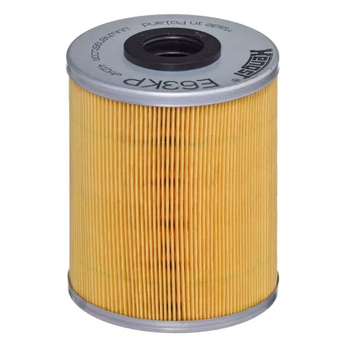 Fuel Filter HENGST FILTER E63KP D78)