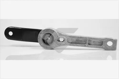 Houder, motorophangsysteem HUTCHINSON 594390)