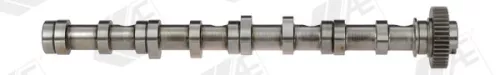 Nokkenas AE CAM961)