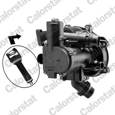 Thermostat, coolant CALORSTAT by Vernet TFS7195.113J)