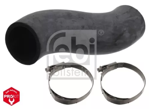 Radiatorslang FEBI BILSTEIN 49101)