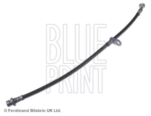 Remslang BLUE PRINT ADH253202)