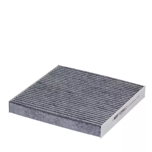 Filter, cabin air HENGST FILTER E2990LC)