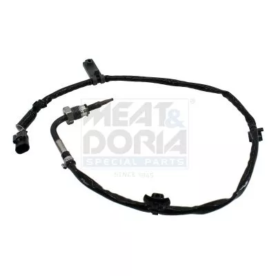 Sensor, uitlaatgastemperatuur FAE 12610)
