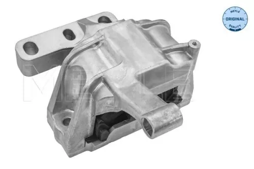 Montage, motor MEYLE 100 199 0169)