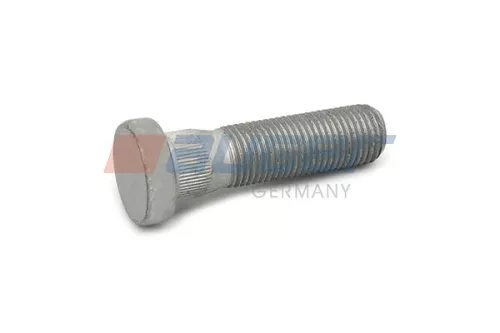 Wielbout AUGER 81142)