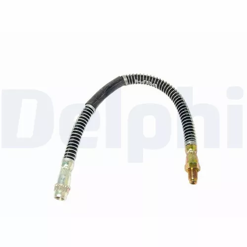 Remslang DELPHI LH6245)