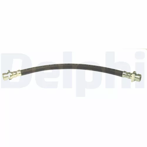 Remslang DELPHI LH6493)