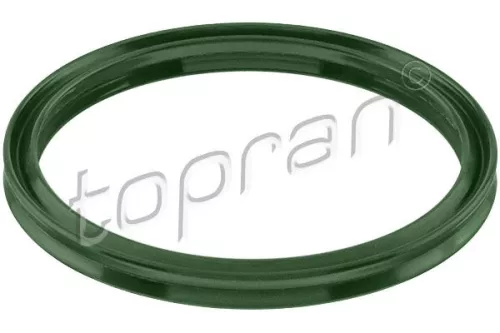 Afdichtring, laadluchtslang TOPRAN 115 071)
