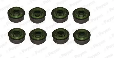 Seal Set, valve stem PAYEN HR655)