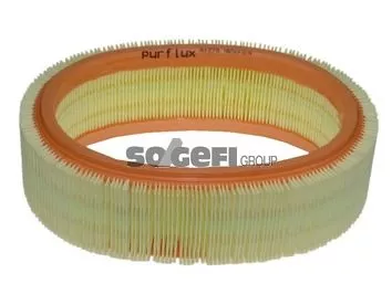 Air Filter PURFLUX A1278)
