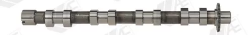 Nokkenas AE CAM748)