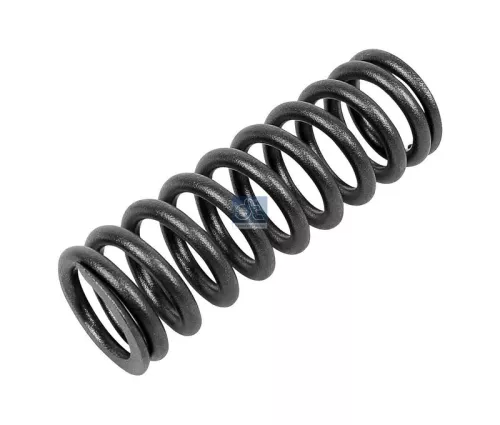 Valve Spring DT Spare Parts 2.10275)
