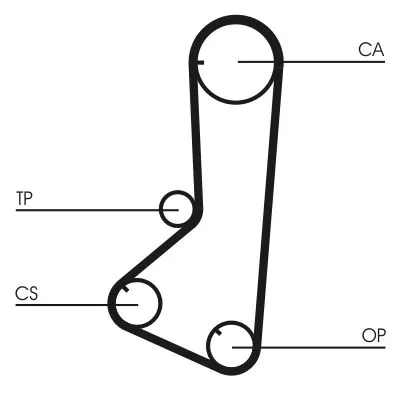 Distributieriem CONTINENTAL CTAM CT801)