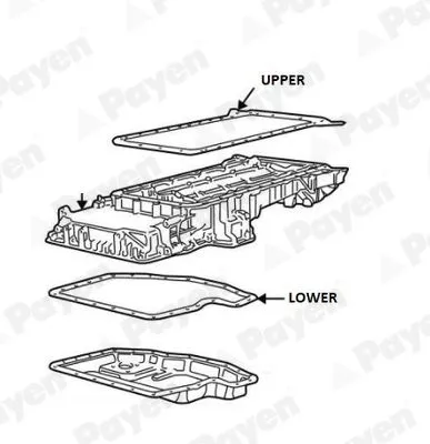 Gasket, oil sump PAYEN JH5116)