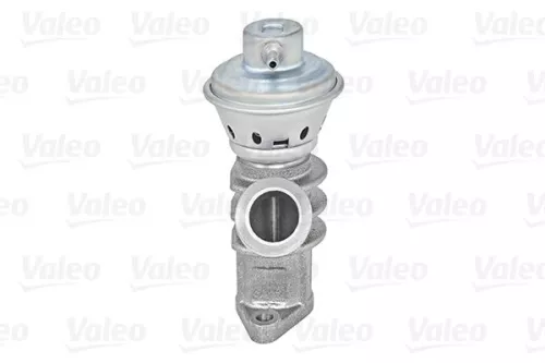 EGR-klep VALEO 700405)
