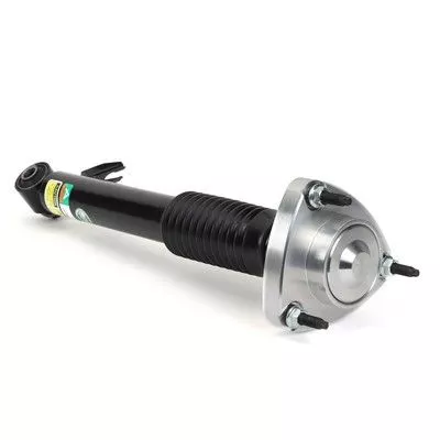 Shock Absorber Arnott SK-3606)