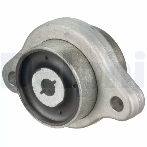 Mounting, control/trailing arm DELPHI TD1834W)