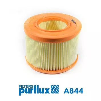 Luchtfilter PURFLUX A844)