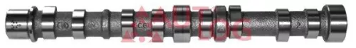Camshaft AUTLOG NW5017)