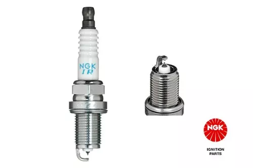 Spark Plug NGK 7418)