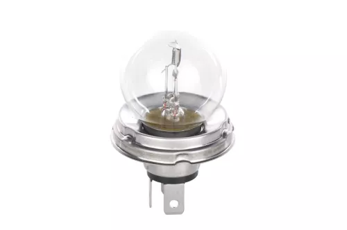 Lamp BOSCH 1 987 302 421)