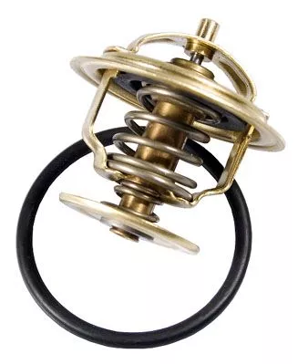 Thermostat, coolant BorgWarner (Wahler) 4253.87D)