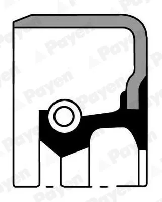 Shaft Seal, crankshaft PAYEN NK214)