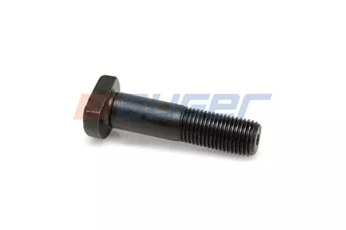 Wielbout AUGER 65187)