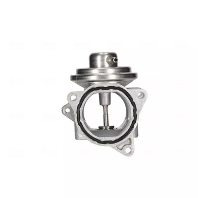 EGR-klep NISSENS 98173)
