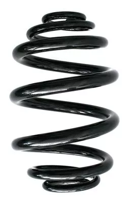 Veerophanging SPIDAN 85736)