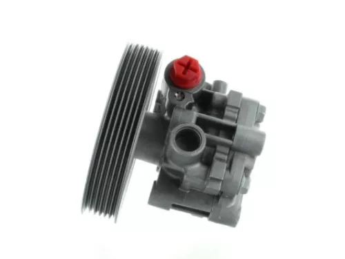 Hydraulische pomp, stuurinrichting SPIDAN 54793)