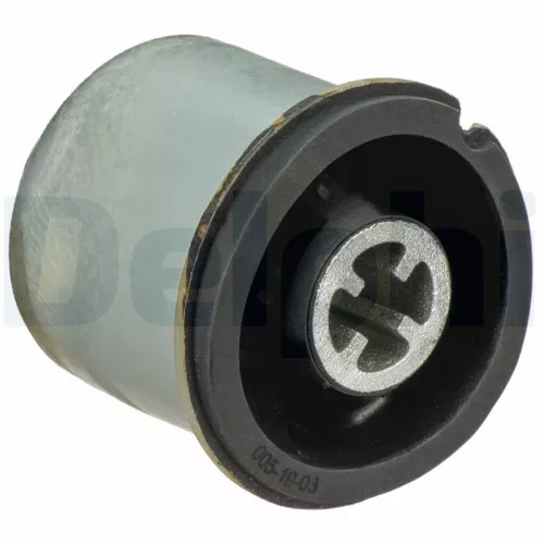 Bus, asbalk DELPHI TD1307W)