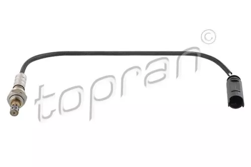 Oxygen Sensor  503 092)